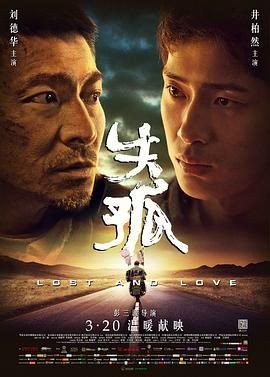 失孤 2015 4K120帧 杜比视界 普通话 中英字幕 8.3G
