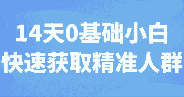 14天0基础小白快速获取精准人群 【3.1GB】