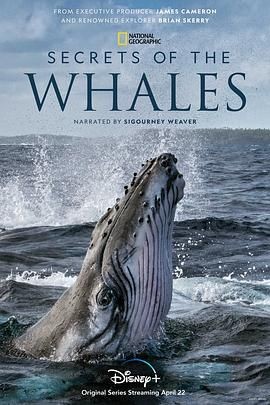 鲸的秘密 Secrets of the Whales