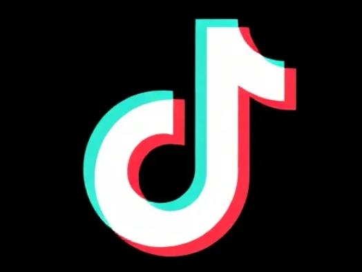 【课程】TikTok玄学咨询变现课，12大命理领域结合风水运势与运营实操 mp4 [3.7GB]